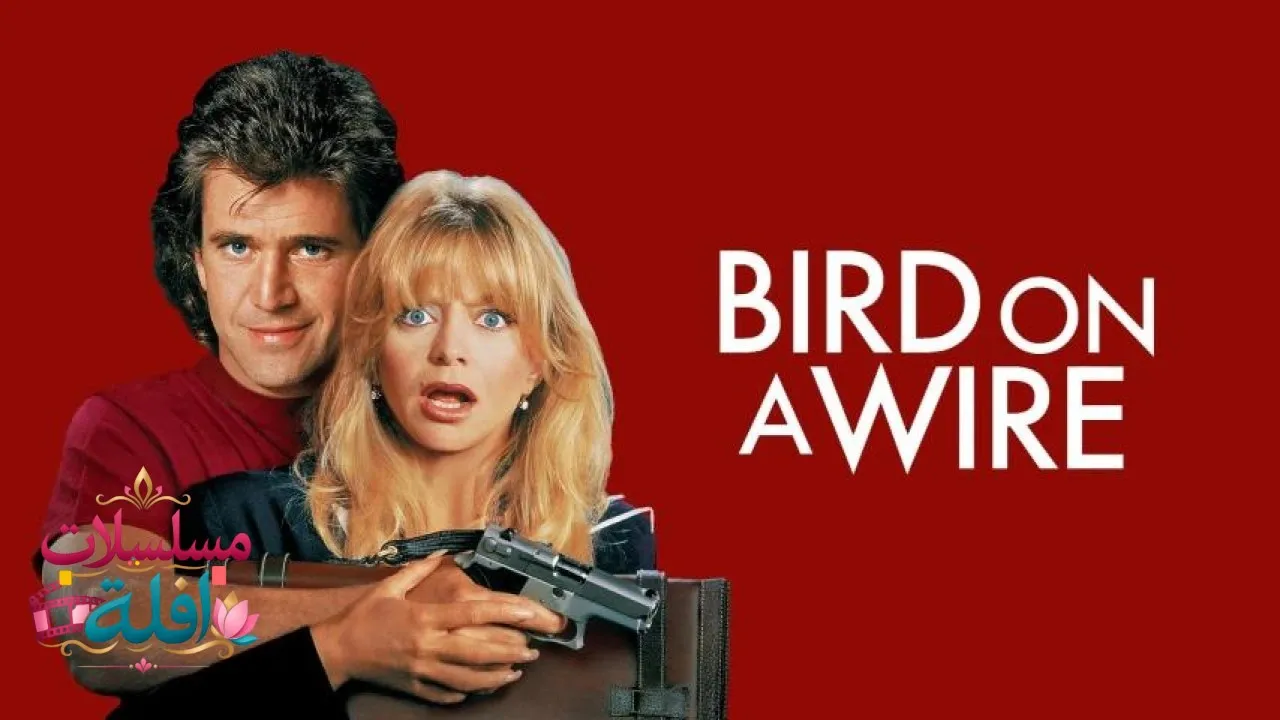 مشاهدة فيلم Bird on a Wire 1990 مترجم كامل