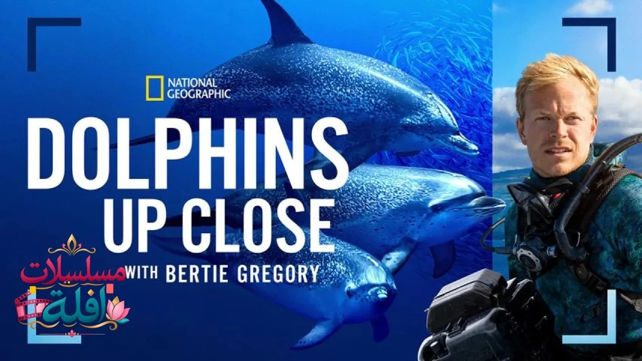 مشاهدة فيلم Dolphins Up Close with Bertie Gregory 2025 مترجم كامل